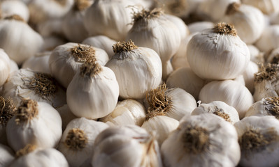 close up of garlic background