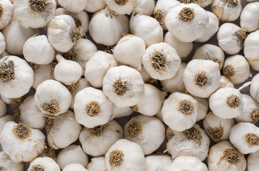 close up of garlic background