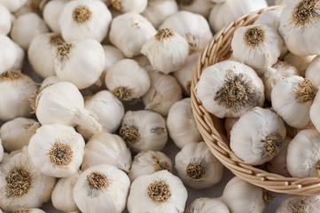 close up of garlic background