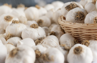 Fototapeta na wymiar close up of garlic background
