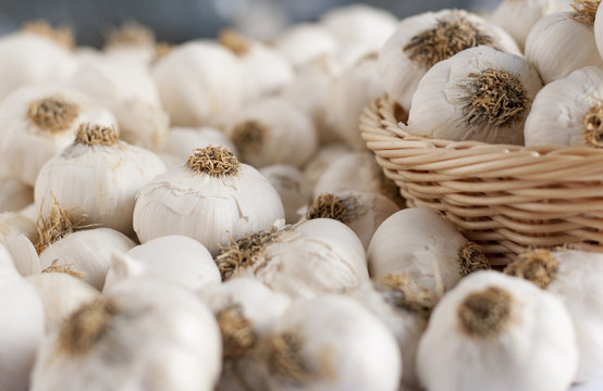 close up of garlic background