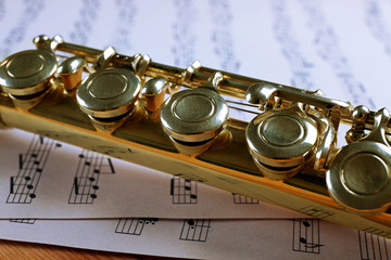 Naklejka premium Silver flute on music notes background