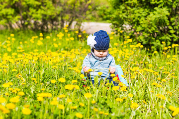 Happy little girl  on the meadow