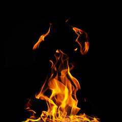 single fire flame on black background in high resolution.