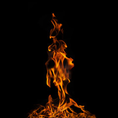 single fire flame on black background in high resolution.