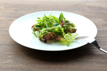 Plate of fresh mixed green salad on wooden table close up
