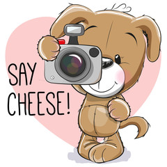 Puppy with a camera