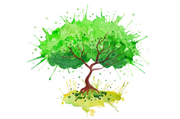 Watercolor vector background. Green tree. Bonsai