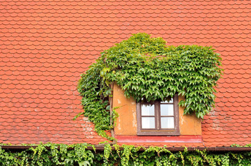 Eingewachsenes Dachfenster, rotes Ziegeldach - Dinkelsbühl