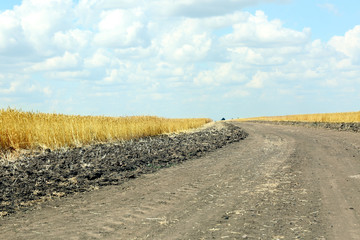 Country road in field
