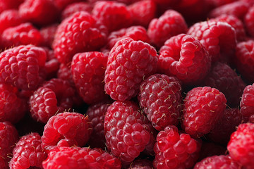 Heap of sweet red raspberries close up