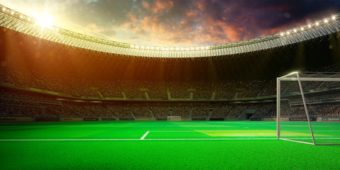 Evening stadium arena soccer field © Anna Stakhiv