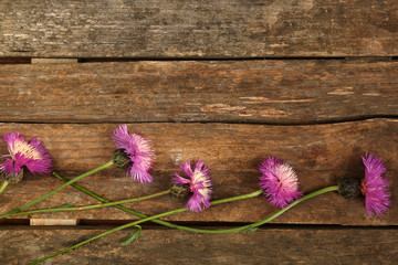 Beautiful wild flowers on wooden background