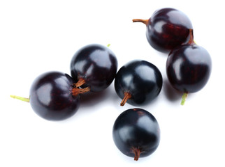 Wild black currant isolated on white