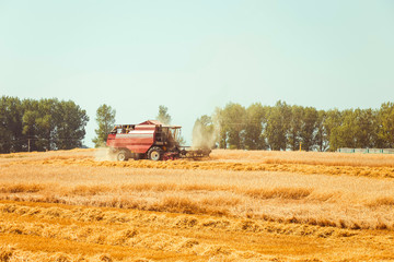 Obraz premium combine harvester