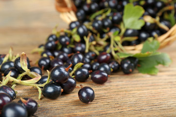 Fresh black currants in wicker basket on wooden table, closeup
