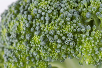 green broccoli organic vegetable, close up image