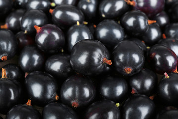 Heap of wild black currant close up