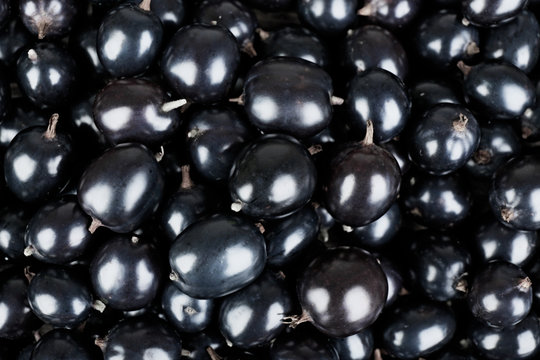 Heap of wild black currant close up