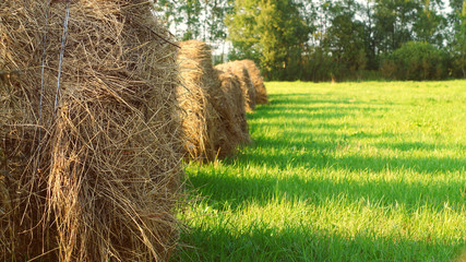 Hay bales