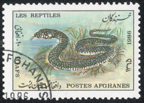 AFGHANISTAN- CIRCA 1986: