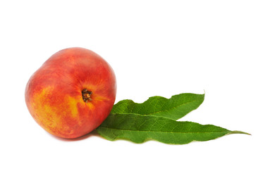 Peach isolated on white background