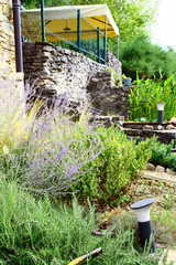 massif rocailleux dans jardin 