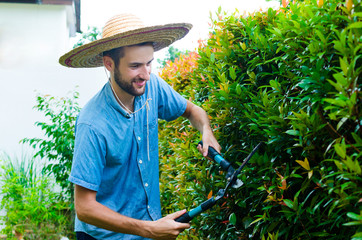 Man cuts bushes