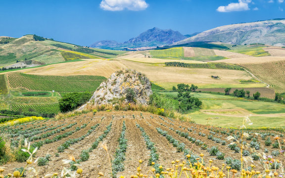 Sicilian countryside in the vicinity of Corleone