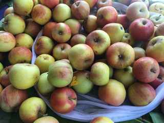 Apple