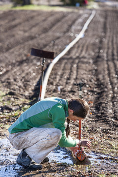 Woman setting irragation sprinklers.