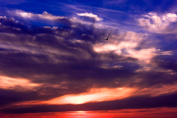 Fototapeta premium beautiful sunset sky with clouds