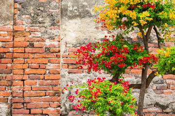 Fototapeta na wymiar red brick and colorful flower