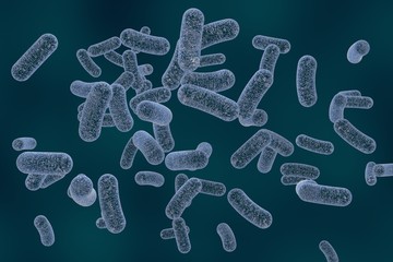 Microscopic illustration of bacteria, model of bacteria, realistic illustration of microbes, Escherichia coli, Klebsiella, Salmonella, Clostridium, Pseudomonas, Mycobacterium, Shigella, Legionella