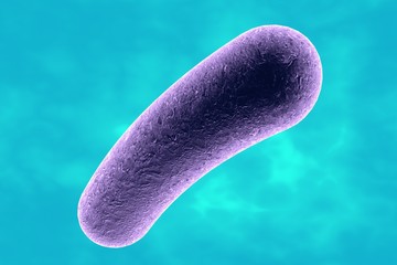 Microscopic illustration of bacteria, model of bacteria, realistic illustration of microbes, Escherichia coli, Klebsiella, Salmonella, Clostridium, Pseudomonas, Mycobacterium, Shigella, Legionella