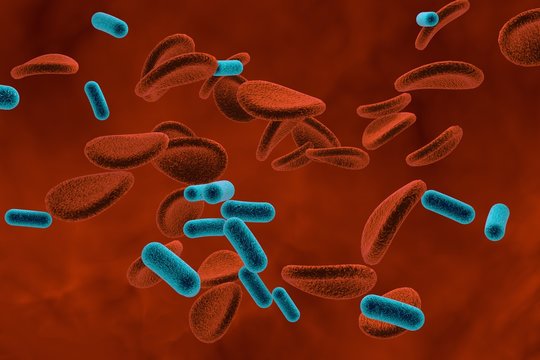 Three-dimensional drawing of rod-shaped bacteria in blood, model of bacteria on dark red background, green bacteria, realistic illustration of microbes, microorganisms, bacteria, microscopic view