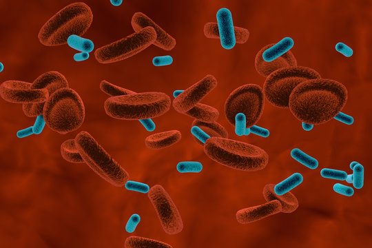 Three-dimensional drawing of rod-shaped bacteria in blood, model of bacteria on dark red background, green bacteria, realistic illustration of microbes, microorganisms, bacteria, microscopic view