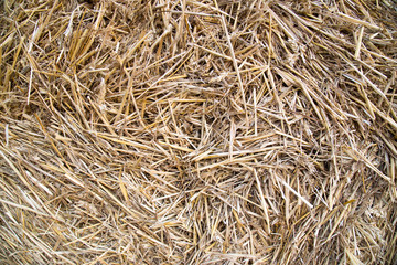 Rustic straw background texture