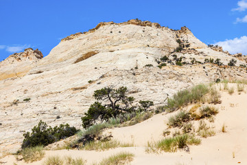 Fototapeta na wymiar White Sandstone Mountain Near Bryce Canyon National Park Utah
