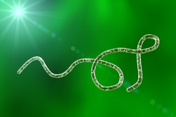 Digital illustration of Borrelia bacteria on colorful background, model of microbes, bacteria which cause relapsing fever, Lyme disease, transmitted by ticks, spiral bacteria, spirochaetes