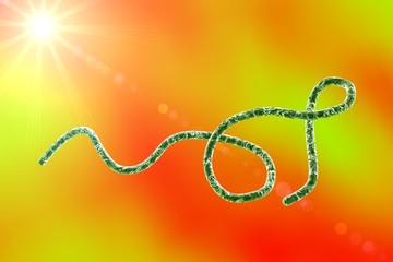 Digital illustration of Borrelia bacteria on colorful background, model of microbes, bacteria which cause relapsing fever, Lyme disease, transmitted by ticks, spiral bacteria, spirochaetes