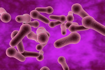 Microscopic illustration of Clostridium tetani, Clostridium perfringes, Clostridium difficile, model of bacteria, anaerobes, anaerobic bacteria