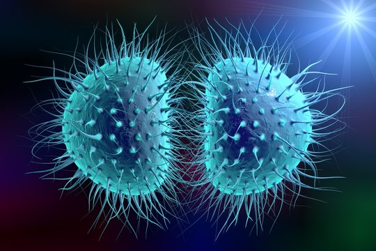 Digital illustration of bacteria Neisseria gonorrhoeae or Neisseria meningitidis, gonococcus and meningococcus on colorful background; closeup view