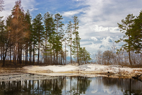 Весенний пейзаж на озере. Россия,Сибирь, Новосибирская область
