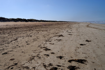 marée basse