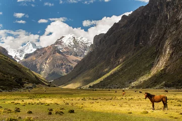 Vlies Fototapete Alpamayo Schöne Berglandschaft in den Anden, Peru, Cordiliera Blanca