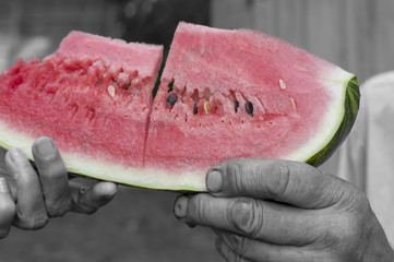 Water Melon In Hands