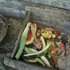 Organic Food Leftovers