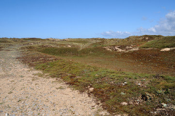 sentier