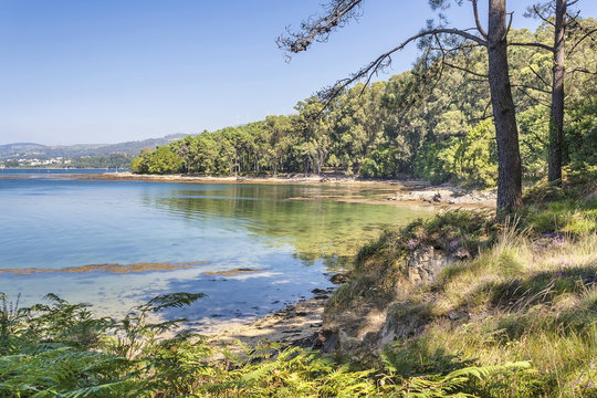 Coast of Cortegada Island natural park